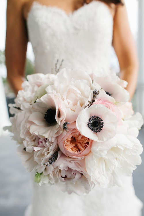anemone peonies