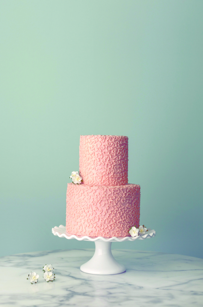 two_tiered_wedding_cake_from_magnolia_bakery.full